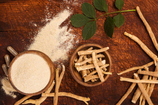 Ashwagandha Powder: The Ancient Adaptogen