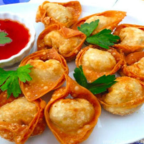 Frozen Chicken Wonton