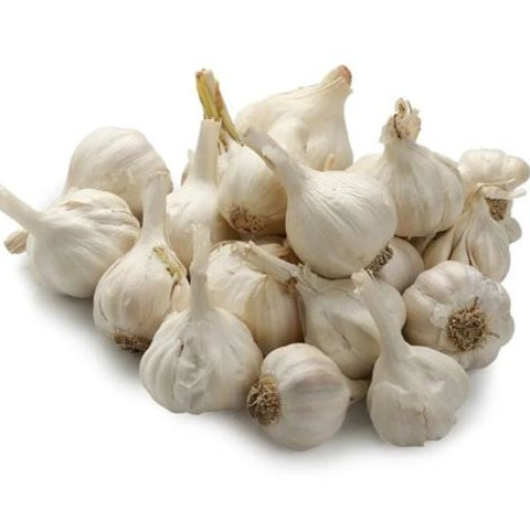 Garlic (Roshun)