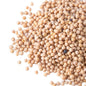 White Mustard Seeds - Sada Shorisha